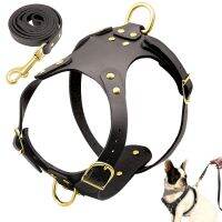 Pit Bull Dog Harness Leash Set No Pull Genuine Leather Dogs Harnesses Step in Pet Harness Vest Lead for Small Medium Dog Pitbull Collars