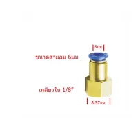 ข้อต่อลม ข้อต่อนิวเมติก ข้อต่อเกลียวใน 1/8 เสียบสาย 6mm (มิลลิเมตร)