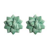 2X Succulent Pillow Succulents Cactus Pillow Cute Succulents for Garden or Green Lovers or Bedroom Home Decoration S