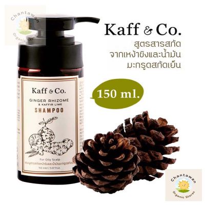 แชมพูสมุนไพร Kaff&amp;co. แชมพูขิง และ น้ำมันมะกรูดสกัดเย็น ขนาด 150 มล. จำนวน 1 ขวด  คันศรีษะ ผมร่วง ผมหงอก ผมบาง