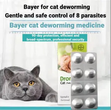 Bayer worm outlet medicine for cats