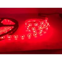 {ItalyNest shop}หลอดไฟแถบไฟ Led สีแดง12V Smd3528 24วัตต์5เมตร Ip65เคลือบซิลิโคนสำหรับเน้นการจัดแสง