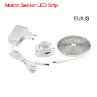 LED Motion Sensor ตู้ตู้เสื้อผ้าโคมไฟเตียงภายใต้ตู้ Night light LED Strip 12V 110V 220V US EU Power Supply-Youerd