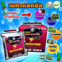 ?"ยกกล่อง" เมทาแลกซิล 100 กรัม (1 กล่อง มี 10 ซอง) ตราหวีทอง สารป้องกัน กำจัดเชื้อรา โรครากเน่า โคนเน่า โรคราน้ำค้าง