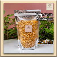 เมล็ดข้าวโพดดิบ เม็ดข้าวโพด Popcorn ป๊อปคอร์น ข้าวโพดคั่ว 250 กรัม Mushroom มัชรูม สะอาด คุณาพดี