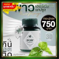 POW ชนิดแคปซูล  1 กระปุก ขนาด 30 แคปซูล พาวสมุนไพรพลูคาวสกัด ของแท้ส่งฟรี‼️