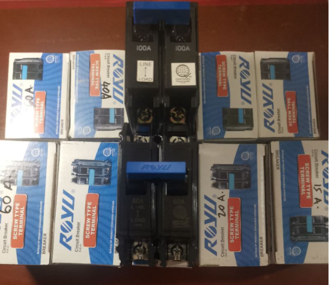 Royu electric Circuit Breaker ,Screw type Terminal Plug in and bolt on