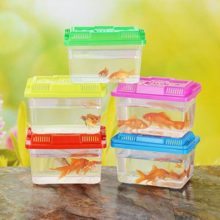 Insect Observation Box Reptile Feeding Box Portable Transparent Pp