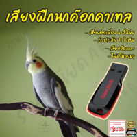 รวมเพลงฝึก นกค๊อกคาเทล Cockatiel ยาว6ชั่วโมง เสียงเพราะๆ ไม่มีโฆษณา แฟลชไดร์ฟ(Flash Drive) มีเก็บเงินปลายทาง ส่งด่วนKerry Express