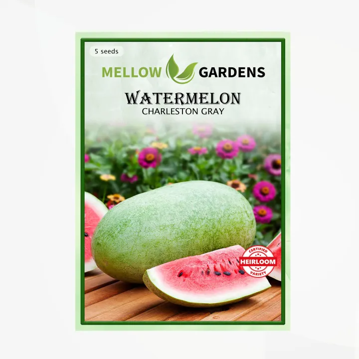 Charleston Gray Watermelon Seeds Lazada PH   877042d28555056de92a2145415ab641  720x720q80  .webp