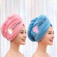 【CW】 Dry Microfiber Hair Turban Wrap   - Soft Aliexpress