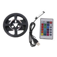 DC 5V USB 30 LED/M 5050 RGB Non Waterproof Flexible LED Strip Light TV Back Lighting+24 Key Remote