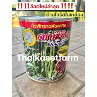 ถั่วฝักยาว ดกพิจิตร(คัดพิเศษ)ดกมากตลาดต้องการ‼️