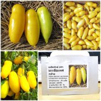 เมล็ดพันธุ์ มะเขือเทศกล้วย (Yellow Banana Lag tomato Seed) 20 เมล็ด คุณภาพดี ราคาถูก ของแท้