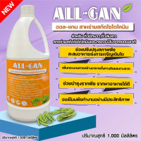 ปุ๋ยน้ำถั่วฝักยาว ถั่วลันเตา1000ML.ฝักช่อยืดยาวเพิ่มน้ำหนัก เพิ่มผลผลิตต้านทานโรคและแมลงศัตรูพืช ALL GANสาหร่ายสกัดไซโตไคนินบำรุงฮอร์โมน