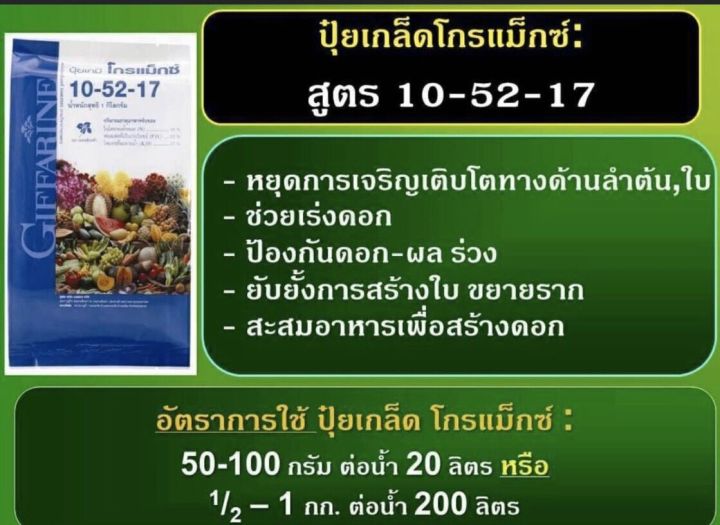 ปุ๋ยข้าว-ปุ๋ยข้าวท้องใหญ่-ข้าวออกรวง-ข้าวออกรวงสุด-ปุ๋ยกิฟฟารีนของแท้-100