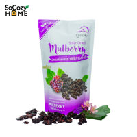 SoCozyHome Phudoi Solar Died Mulberry Sweet and Sour Flavor มัลเบอรี่อบแห้ง รสธรรมชาติ เปรี้ยว หวานอร่อย ตราภูดอย