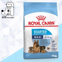 [ลด50%] [ส่งฟรี] ด่วน!! [Ex07/22] Royal Canin 1kg. Maxi Starter อาหารสุนัข สูตรสำหรับสุนัขพันธุ์ใหญ่ตั้งท้อง ถึง ให้นม และลูกสุนัข