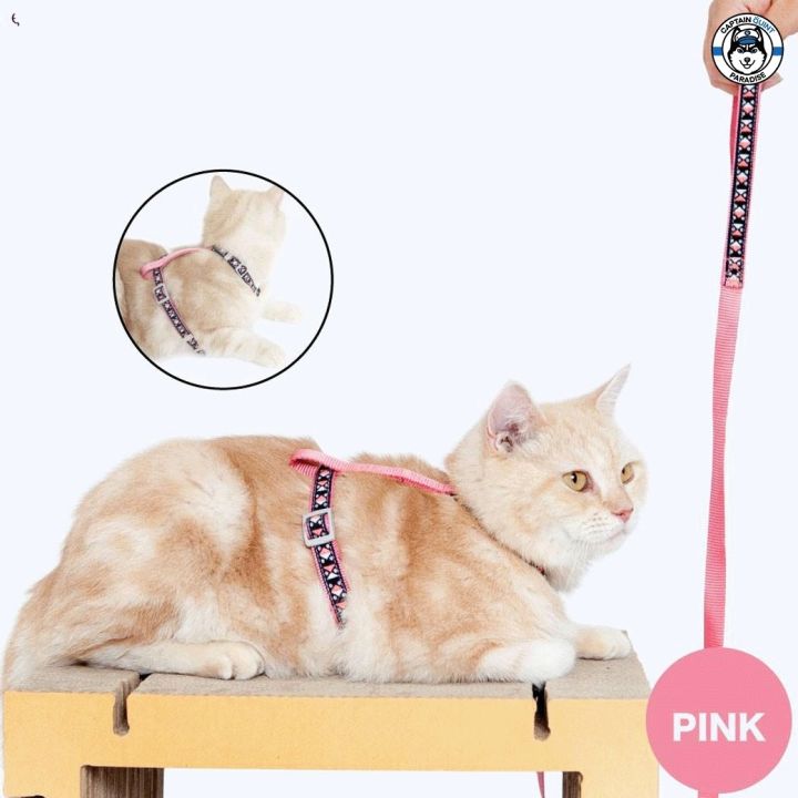 kafbo-สายรัดอกและสายจูงสำหรับแมว-สายจูงแมว-สายรัดอกแมว-cat-harness-leash-สายจูงสัตว์เลี้ยง-ปลอกคอและสายจูง