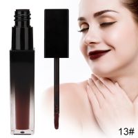 Long Lasting Lip Gloss Matte Lip Gloss Moisturizing Liquid Lipstick Dark Brown Series