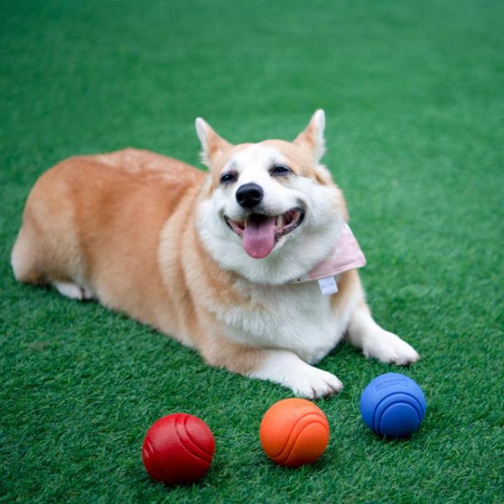 hot-1pc-dog-ball-bouncy-ยาง-solid-ball-ความต้านทานสุนัข-chew-ของเล่นกลางแจ้งโยน-recovery-การฝึกอบรมสำหรับสุนัขสัตว์เลี้ยงอุปกรณ์