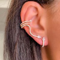 [COD] European and Metal Snake Ear Clip Set Irregular Three-dimensional Stud Earrings Exaggerated