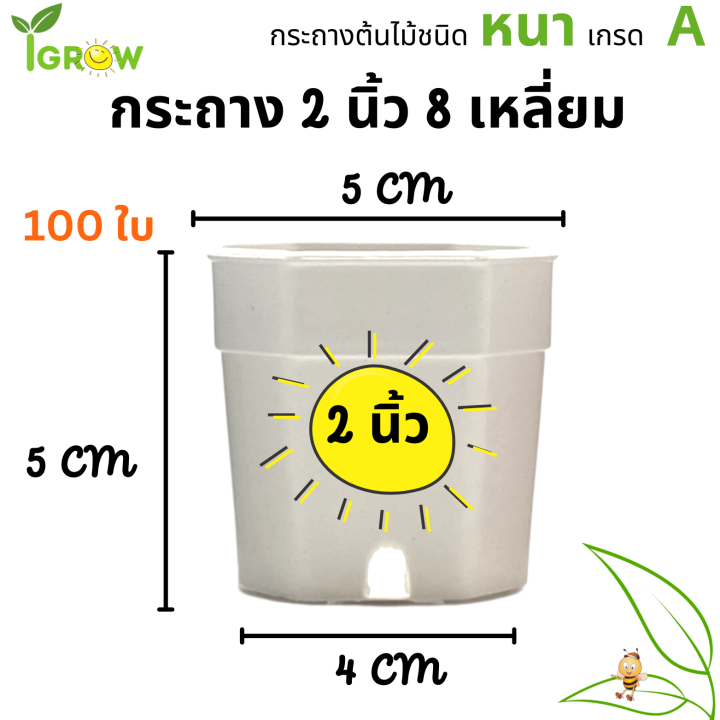 กระถาง-8-เหลี่ยม-ขนาด-2-นิ้ว-ชุด-100-ใบ-สีมินิมอล-อิฐ-ขาว-ดำ-สำหรับใส่แคนตัส-ต้นไม้จิ๋ว-มินิมอล-สวย-แท้-แน่นอน