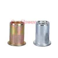 Flat Head Rivet Nut 20/10/5pcs Flat Head Rivet Nut Stainless Steel m3 m4m5 m6m8m10 m12 Rivnut Zinc Plated Cap Rivet Threaded Nut