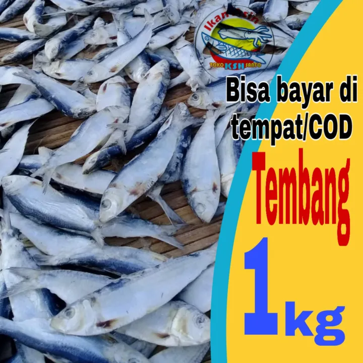 Ikan Asin Tembang Super 1kg Lazada Indonesia