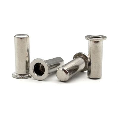 Stainless steel blind Leakproof inserts nut with closed end M3M4M5M6M8M10 Flat head rivet nut Sealed hermetic waterproof 304PTGS Nails Screws Fastener