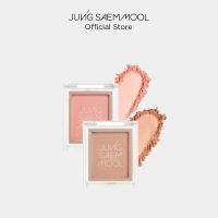 JUNGSAEMMOOL Colorpiece Eye Blender Nude เครื่องสำอาง