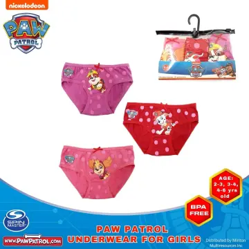 Nickelodeon, Accessories, Boys Paw Patrol Boxers Size 6
