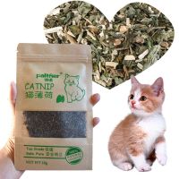 【A Smart and Cute】สุขภาพหญ้าชนิดหนึ่งธรรมชาติอินทรีย์พรีเมี่ยม Catmint เมนทอลสามารถโรยบนของเล่นและลูกสัตว์เลี้ยงที่ชื่นชอบ