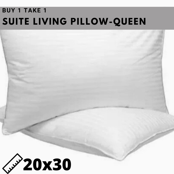 BUY 1 TAKE 1 Queen Size Hotel Grade Pillows 20" x 30" Lazada PH