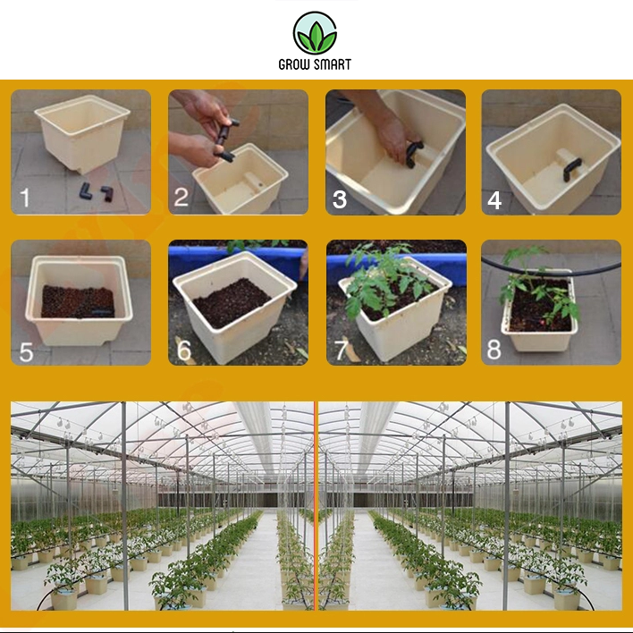 grow-smart-dutch-bucket-bato-bucket-drip-irrigation-recirculating-hydroponic-system-bucket-ถังปลูกไฮโดรโปรนิกส์-ระบบน้ำวน-ถังปลูกกัญไฮโดร-ถังปลูกกัญ-ปลูกเมล่อน-ปลูกมะเขือ