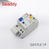 Dz47le-63 1P 6a 10a 20a 25a 40a 50a 60a 63a 230V Residual Current เบรกเกอร์ Over Current ป้องกันการรั่วซึม Rcbo