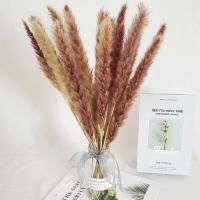 VICENDA ปาร์ตี้งานแต่งงานคริสต์มาสธรรมชาติ DIY Phragmites พวงดอกไม้ช่อดอกไม้เทียมหญ้า Pampas