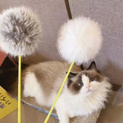 （HOT) ของเล่นแมวของเล่นแมวของเล่นแมวของเล่นแมวของเล่นแมวแบบโต้ตอบ