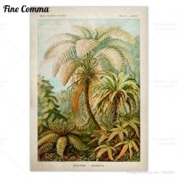 Botanical Vintage โปสเตอร์ Ernst Haeckel ธรรมชาติ Tropical Jungle Palm Tree Hummingbird Sea Ocean Life Wall Art ผ้าใบพิมพ์ตกแต่ง23N 1107