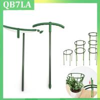 Plant Support Holder Pile Stand climb for Flowers grow Semicircle Greenhouses Arrangement Fixing Rod Orchard Garden Tool QB7LA Shop