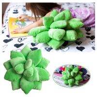 Succulent Cactus Decor Pillow Plush Pillow Plush Toy For Garden Or Green Lovers Cute Succulents Ins Nordic Style