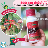 ?ฮัปปะออย น้ำมันกำจัดแมลง ไรแดง เพลี้ย ราแป้ง แบบออร์แกนิก100ml