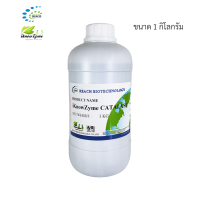 iKnowZyme Catalase เอนไซม์คะตาเลส ขนาด 1 กิโลกรัม