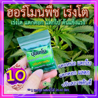 ปุ๋ยเร่งโต ?10 แคปซูล ปุ๋ยนาโน  ฮอร์โมน เร่งดอก เร่งใบ ต้นแข็งแรง กระตุ้นรากใหม่ ปรับสภาพดิน ปุ๋ยใส่ผัก ไม้ดอกไม้ประดับ?