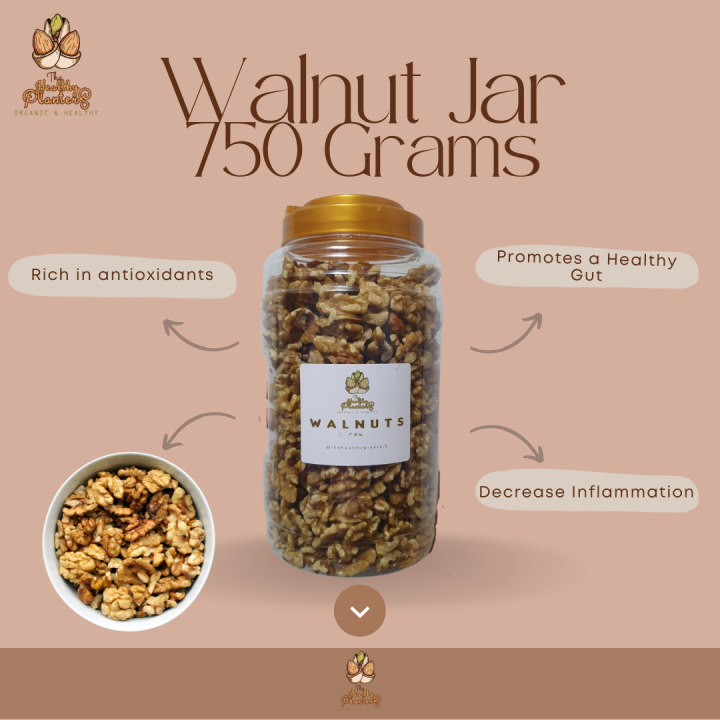 Raw Walnuts (750 Grams in Jar) Lazada PH