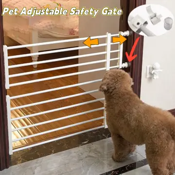 Dog store blocking door