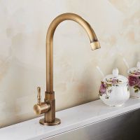 Faucet Classic Only Cold Sink Gooseneck Lever Outdoor Brushed