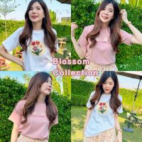 Jarikashop - เสื้อยืด BLOSSOM ( งานป้าย.. Jarika ) ( จ100 )