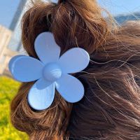 2022 Fashion Big Blue Flower Plastic Hair Claws Acrylic Hair Clip Claw Hairdressing Tool Hair Accessories for Women party