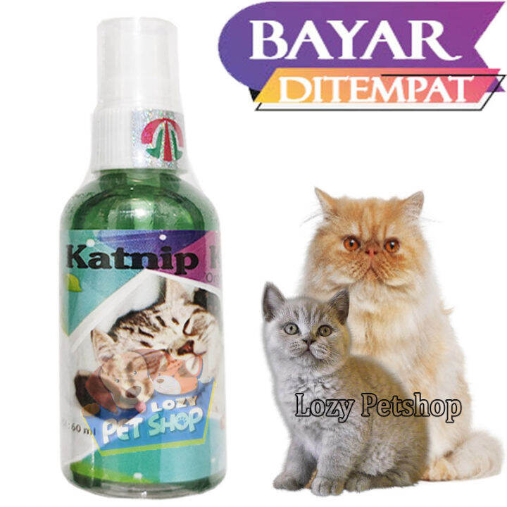 CATNIP VITAMIN ANAK KUCING OBAT PENENANG KUCING PENGHILANG STRESS